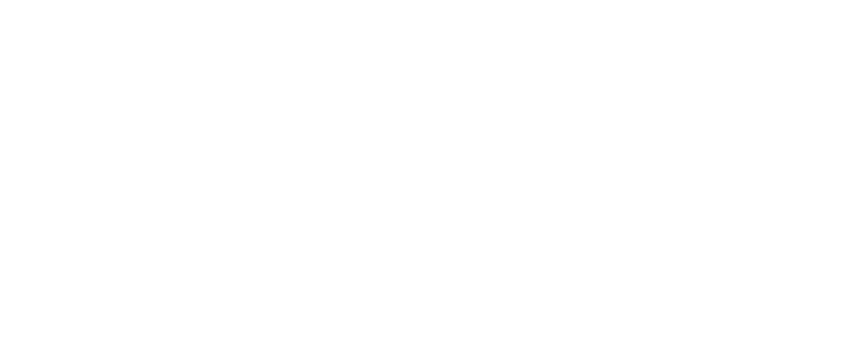 Hazelight_Logotype_Primary_NEG.png