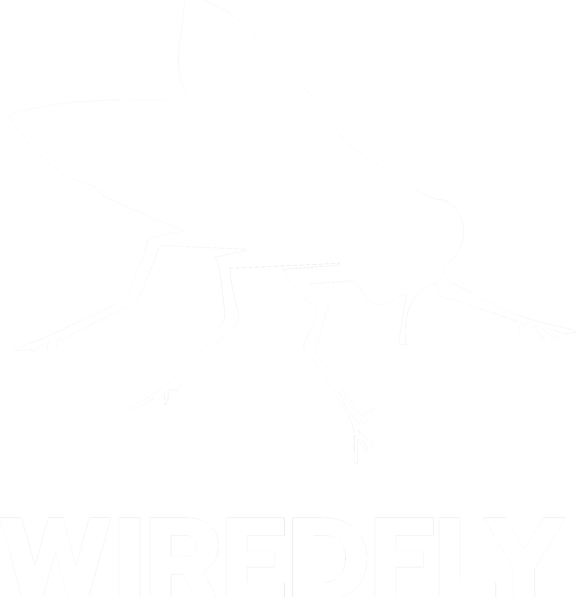 wiredfly-logo.png