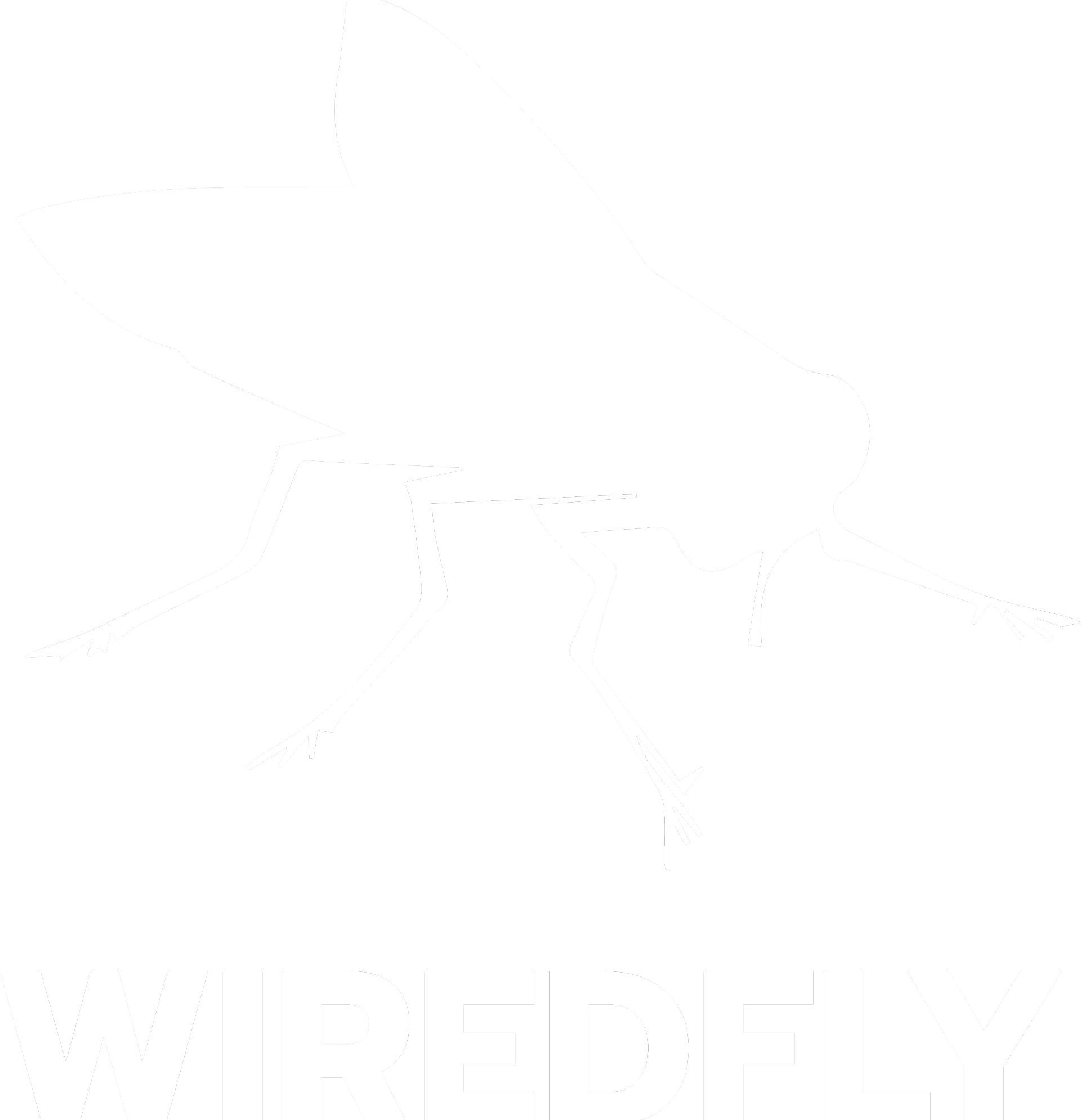 wiredfly-logo.png